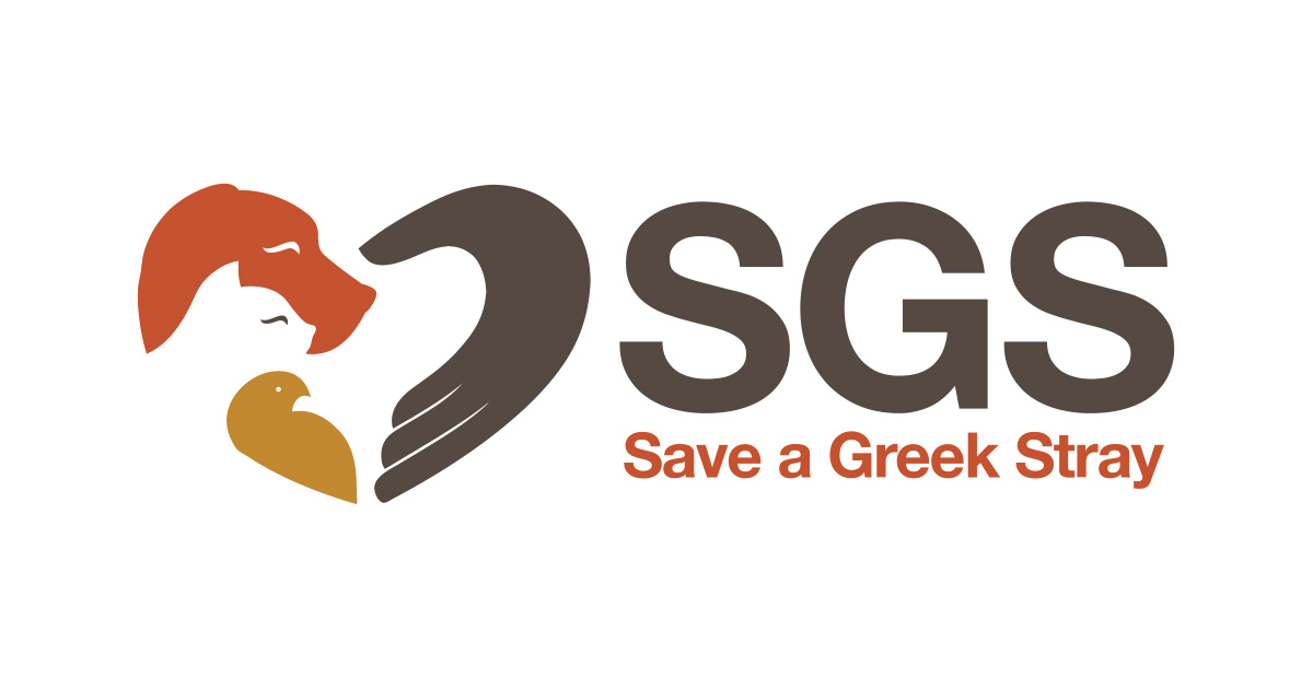 Save a Greek Stray